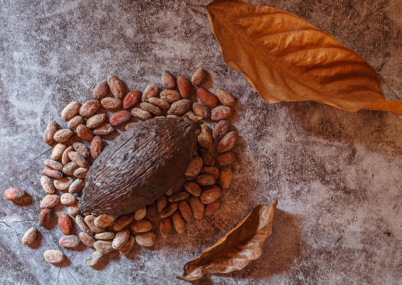 feve-de-cacaos L’origine du goût : de la fève à la tablette, gros plan sur la fabrication du chocolat  